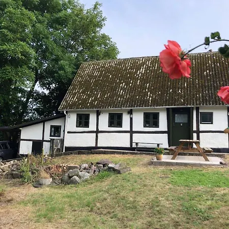 Gaestehus